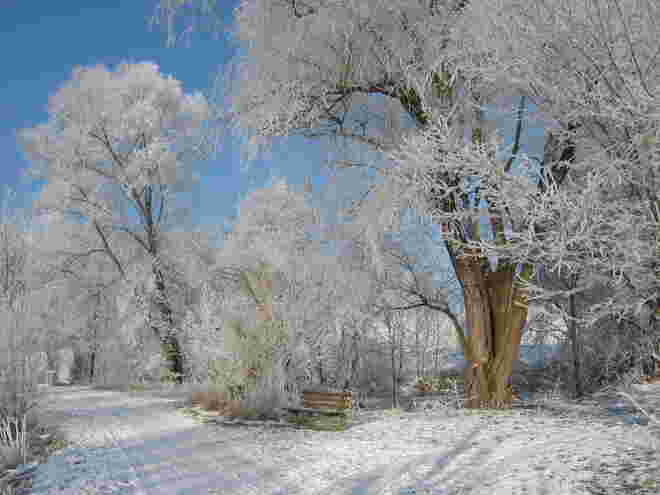 Winter in Bergheim