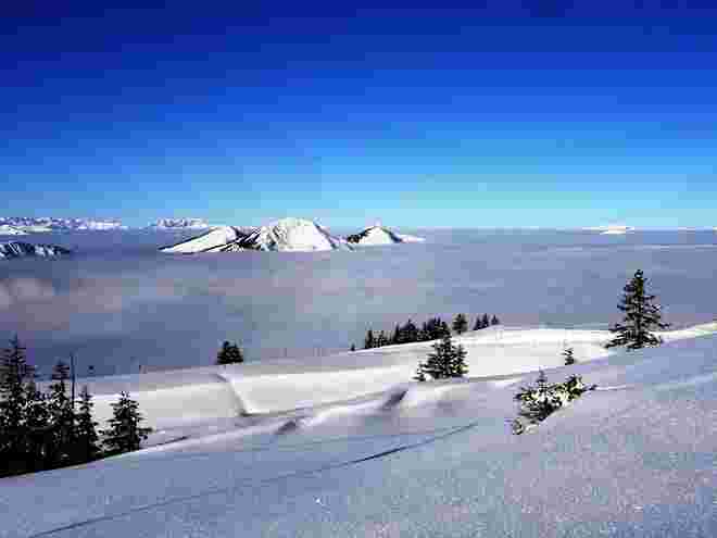Nebelmeer