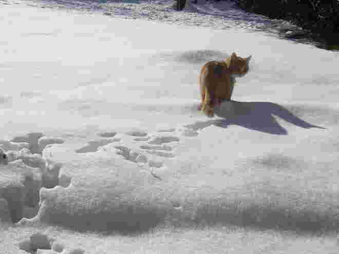 Ausflug im Schnee