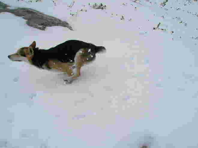 immer flott durch den Winter