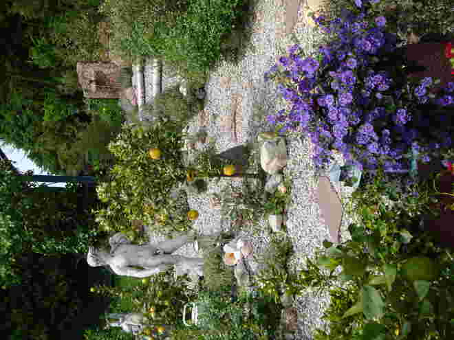 Traudis Garten