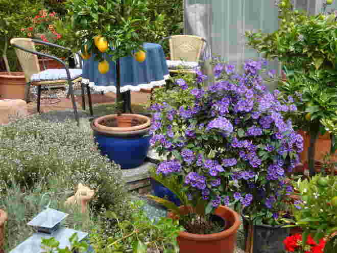 Traudis Garten