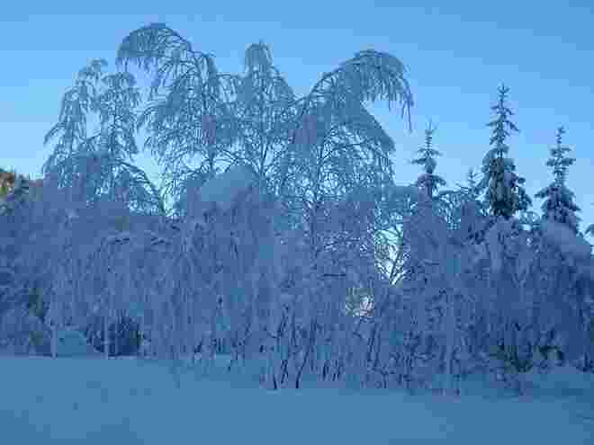 Die blaue Stunde