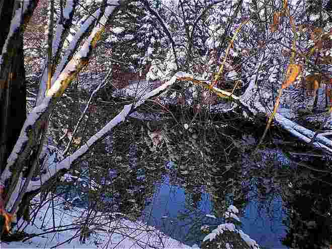 Winterspiegelung...