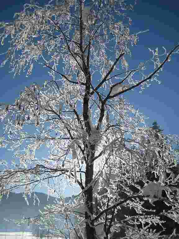 Morgenstund