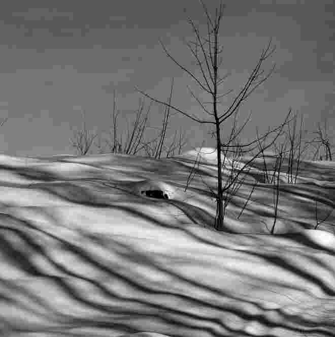 Schnee und Schatten