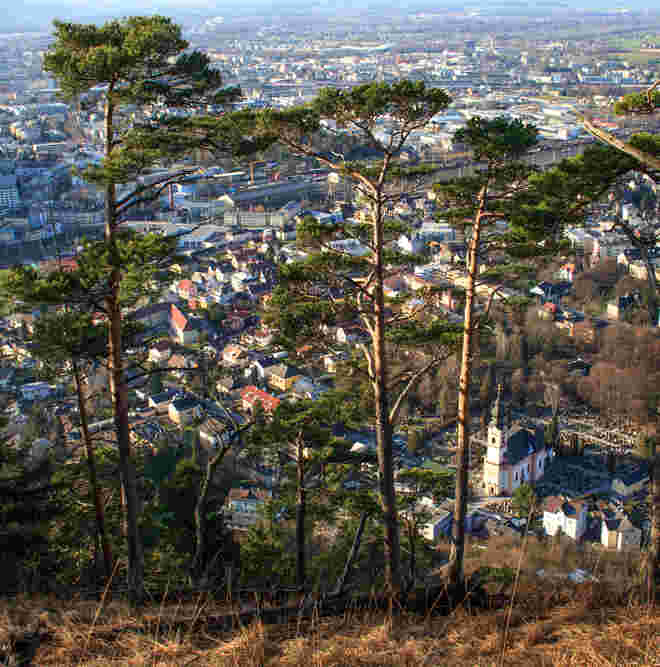Am Kühberg