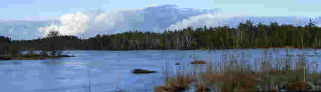 im Schönramer Moor