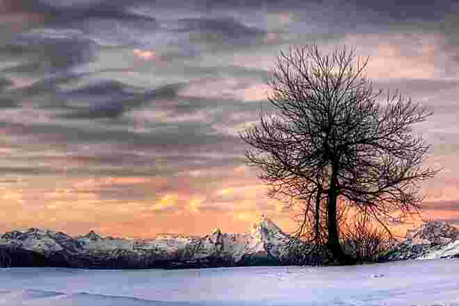 Morgenstimmung