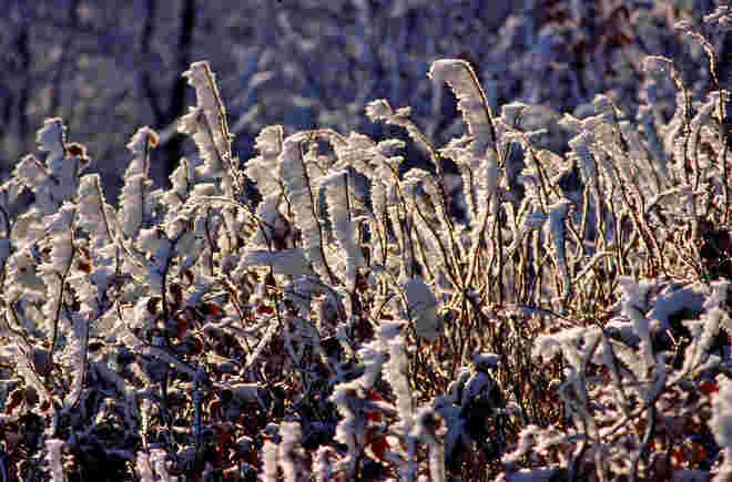 - 17 ° C