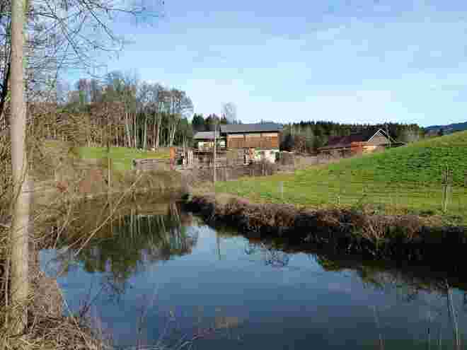 der Teich..