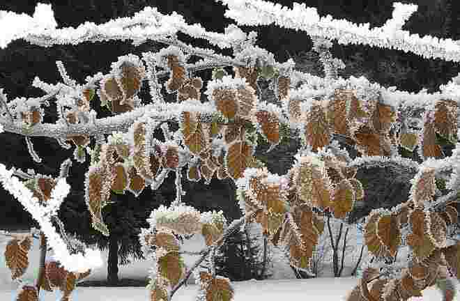 Winterzauber