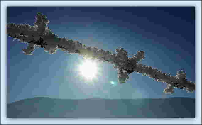 Stacheldraht im Winterkleid