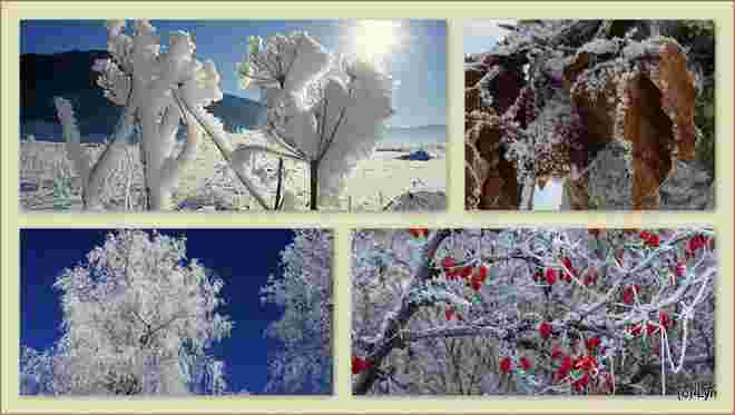 FROSTIGES