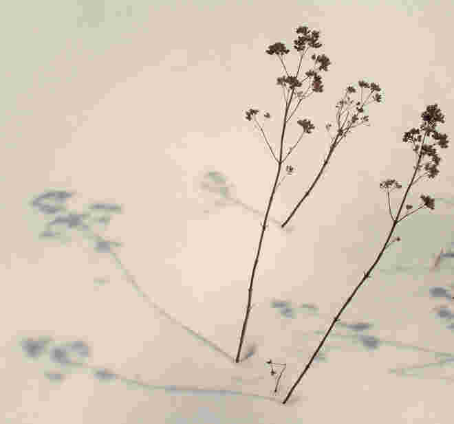 Winterschatten