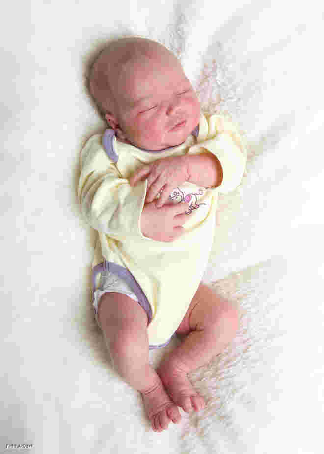 Schipflinger Johanna Maria