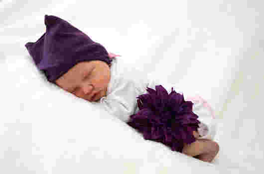 Lina Ida Haydn