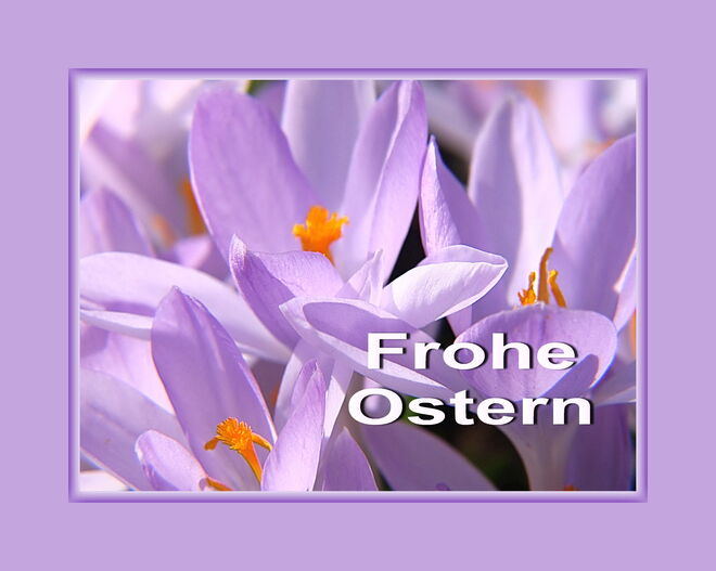 Allen ein frohes Osterfest