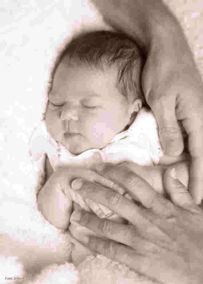 Pichler Emilia Stella