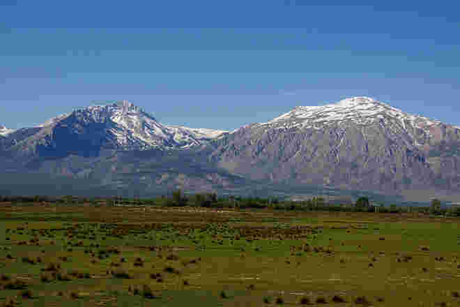Mercan Berge