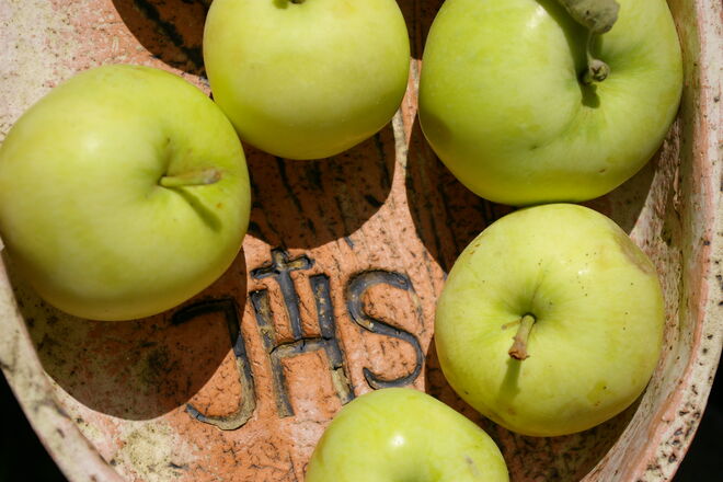 Äpfel aus dem Garten Eden