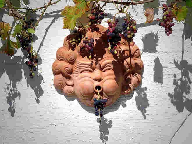 Weinlese