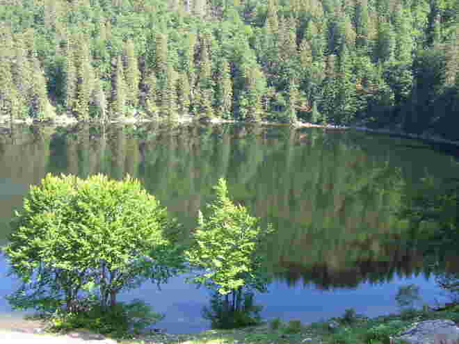 Münichsee