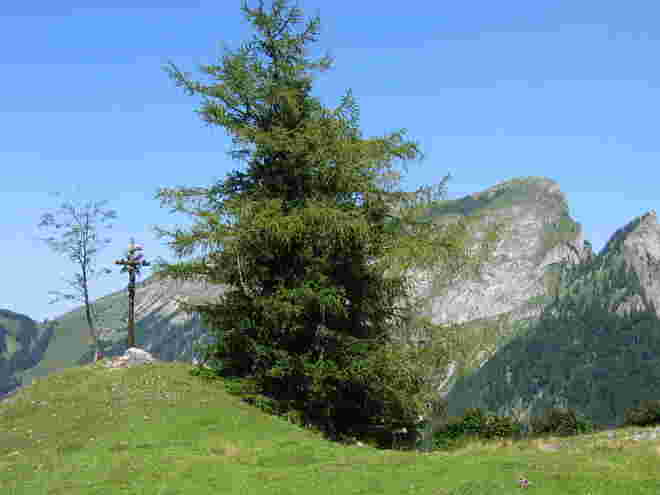 Wetterkreuz