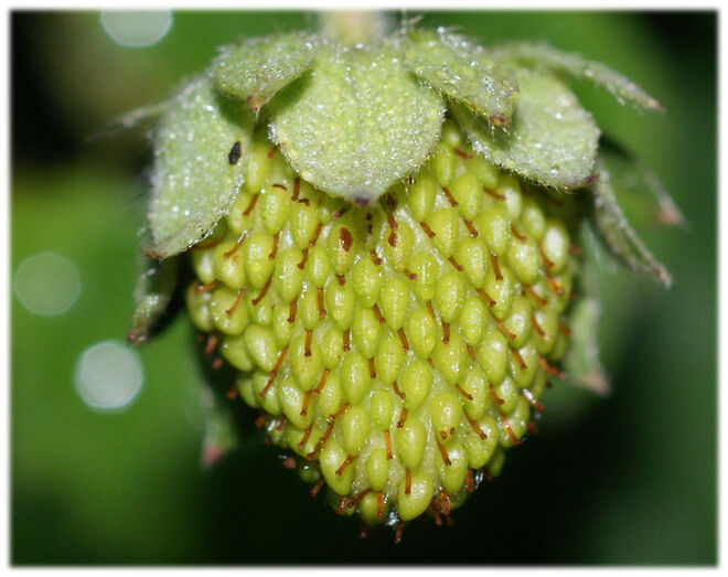 Ich brauche noch Sonne