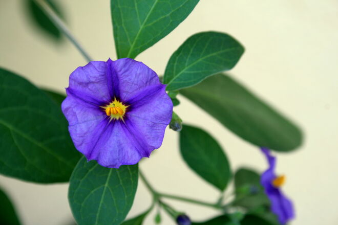 Keine Idee für den Titel :-)