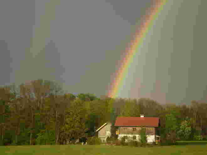 Regenbogen