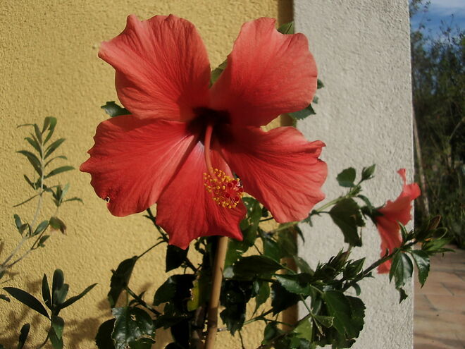 Eine besondere Bedeutung...