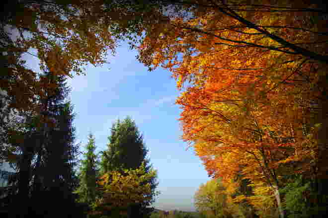 " HERBSTBOGEN "