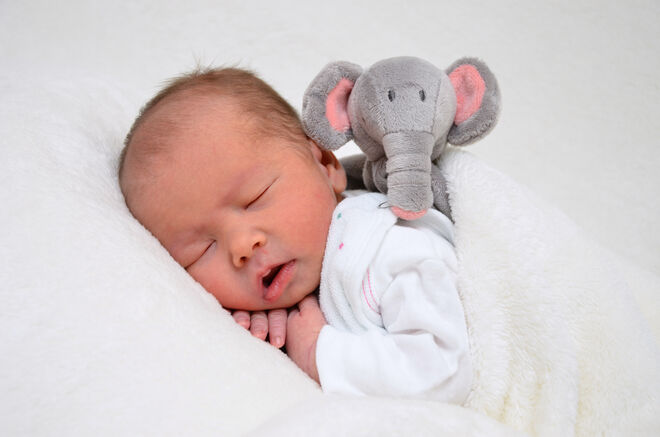 Marie Katharina Hohensinn