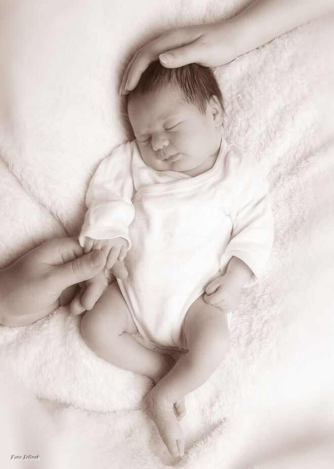 Nina Sybille D`Ambros-Conzin