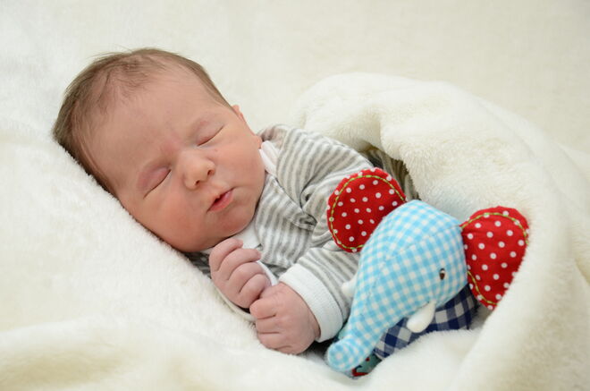 Maximilian Kendlbacher