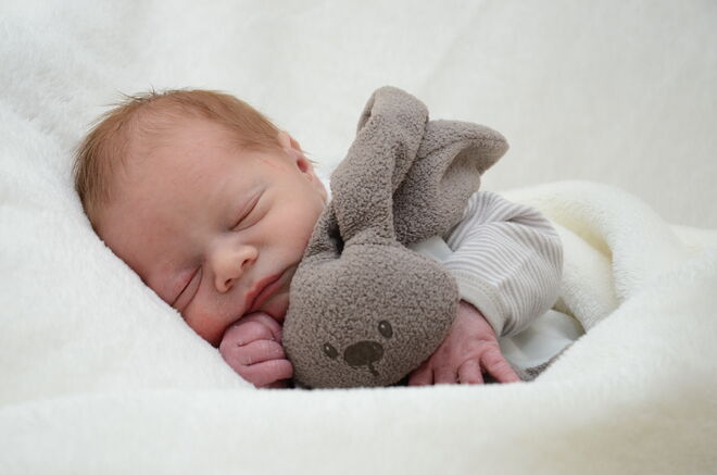 Lion Oliver Schneeberger