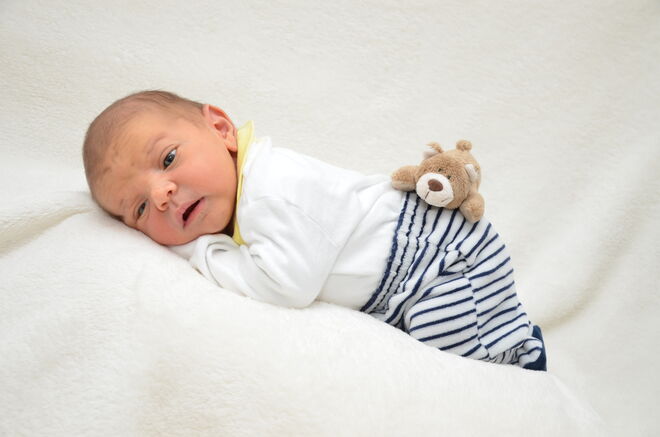 Alexander Wienerroither