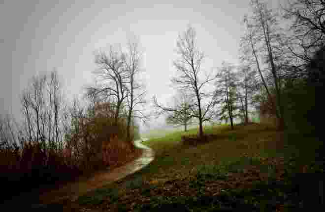 der Pfad 