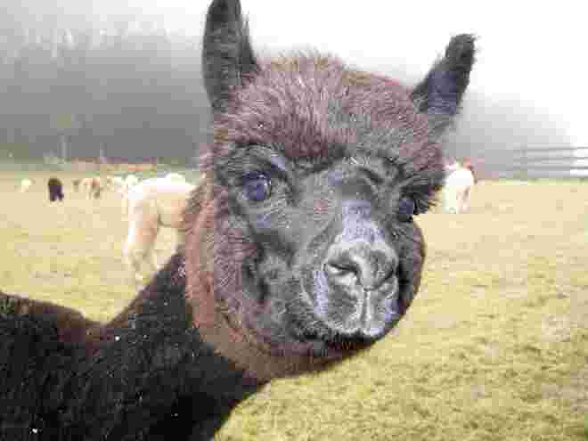 Was guckst Du ?
