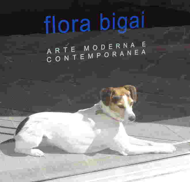 Galeriewachhund