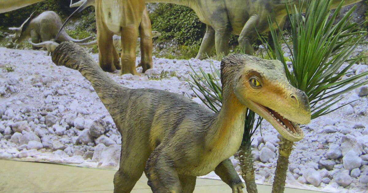 Besuch der Dino-welt in Außerhalb Salzburgs | Tierfoto Fotoblog SN.at