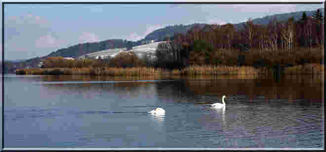 Am Obertrumersee
