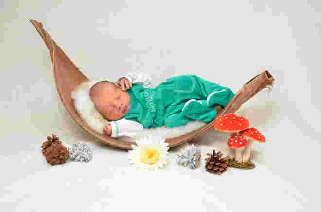 Felix Florian Oitner