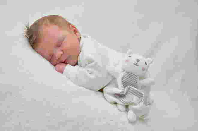 Luca Harner