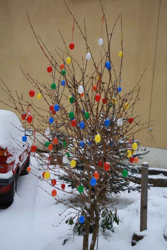 Der Osterhase hüpft noch im Schnee. . . .