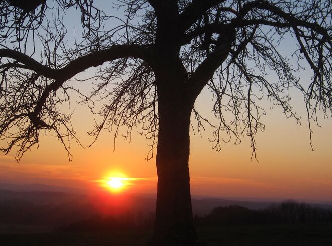 Ade, nun zur guten Nacht.....