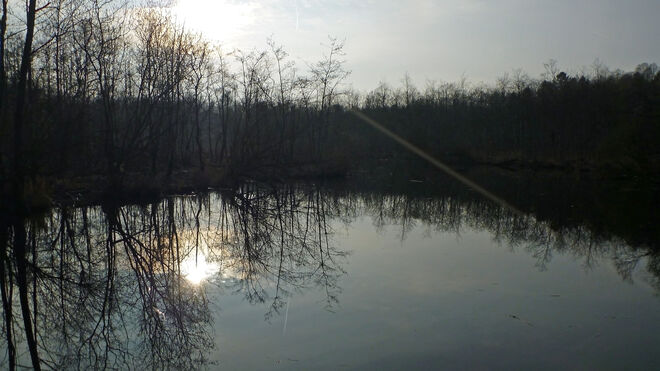 Der Biber schläft noch
