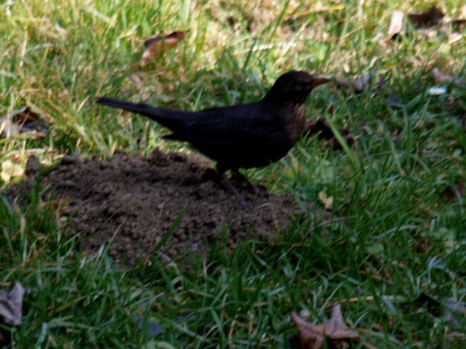 "Der Kollege vom Tiefbau hat schon gut vorgearbeitet!"