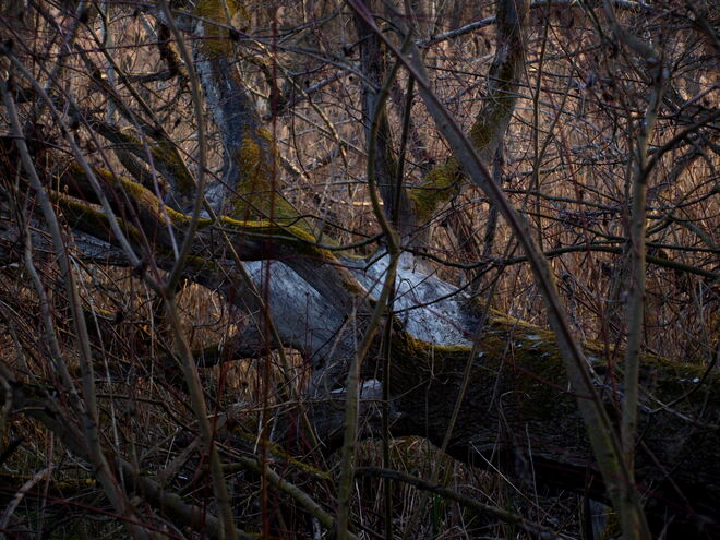 "Hier geht's nicht mehr weiter!"
